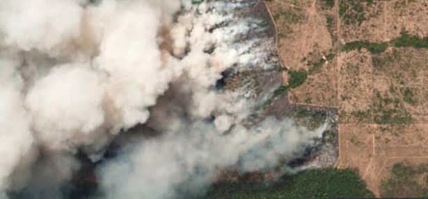 Argentina ya es afectada por el humo de incendios del Amazonas