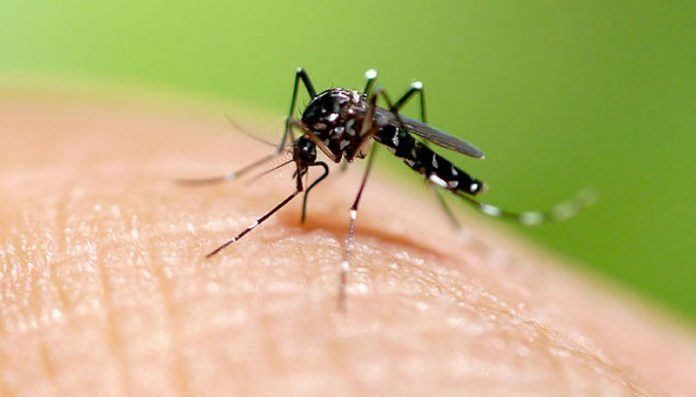 Se disparan 312% casos de dengue en México