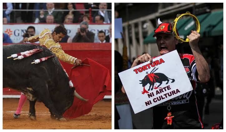 El 75% de los mexicanos ve crueldad innecesaria en corridas de toros y 59% votarían para erradicarlas