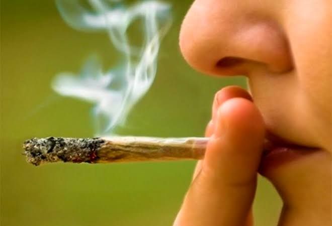 Legalización de drogas podría ir a consulta