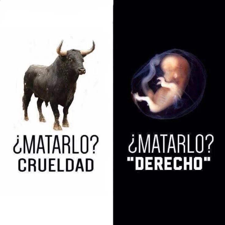 PIDEN SANCIONES CONTRA EL DIPUTADO JORGE MAYORGA  QUE COMPARÓ ABORTO CON CORRIDAS DE TOROS.