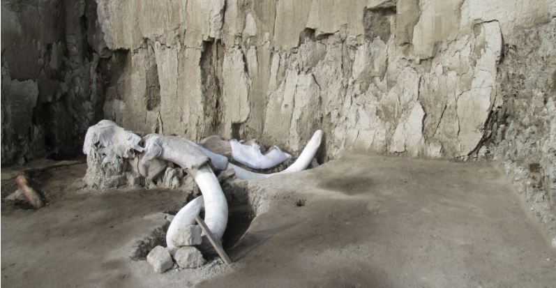Hallan primeras trampas de mamut en Tultepec 