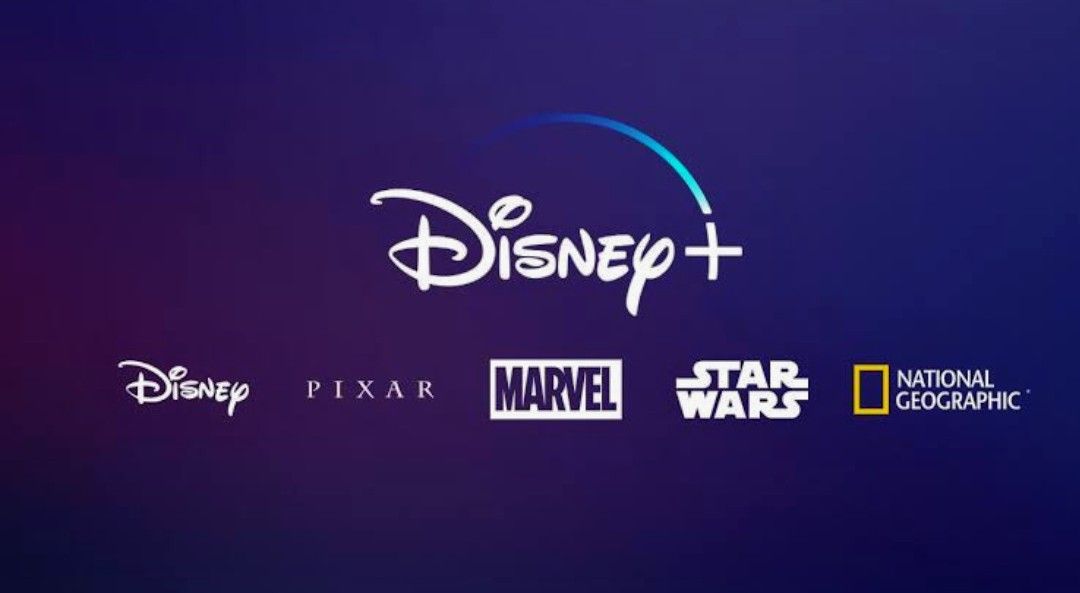 Disney+ pone advertencias en sus películas.