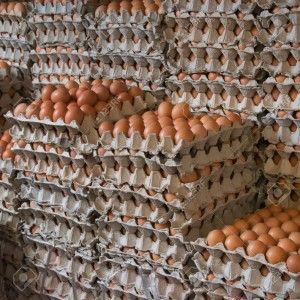 México, principal consumidor de huevo
