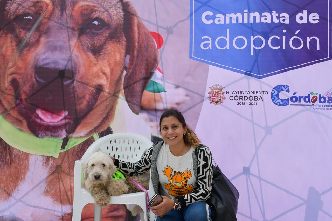 Perritos rescatados por el Centro de Bienestar Animal de Córdoba encuentran nuevo hogar