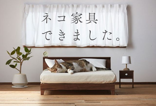 Japón lanza una gama de muebles en miniatura para gatos