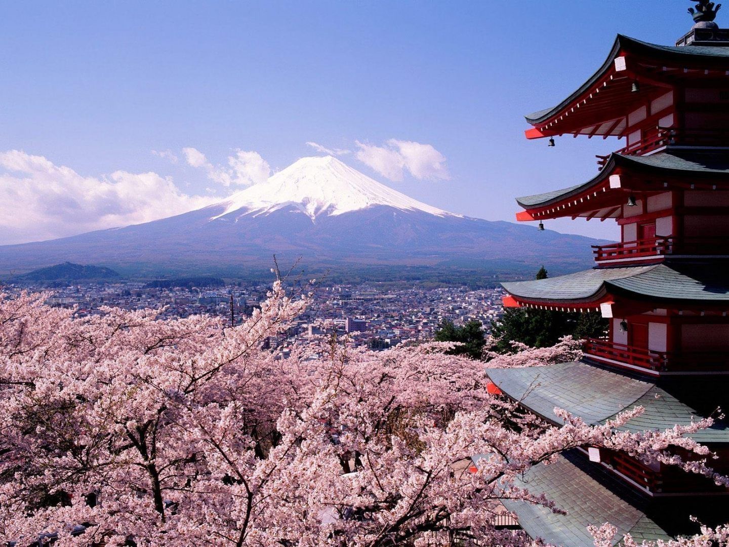7 razones para viajar y conocer Tokio
