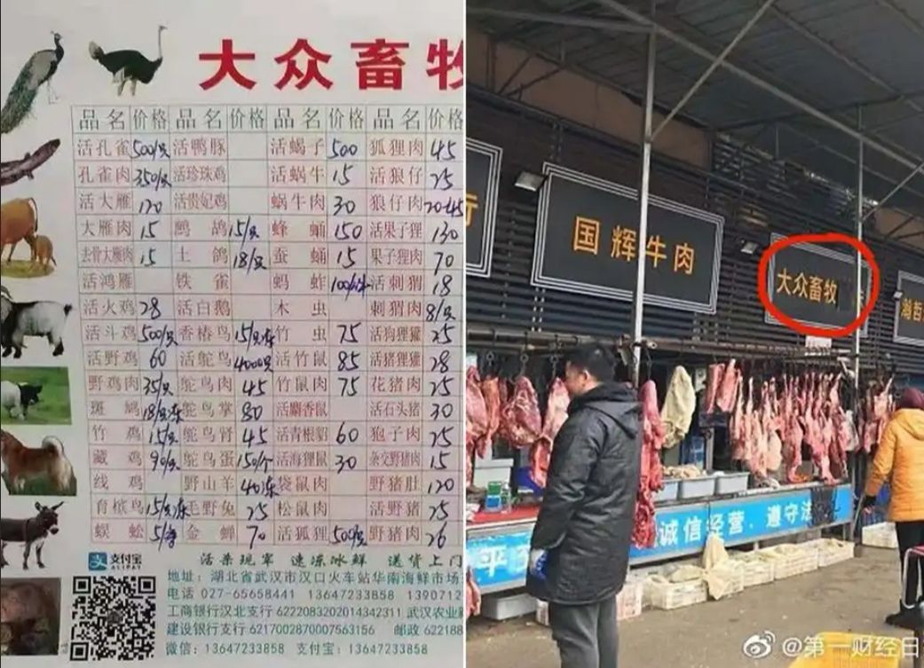 China finalmente tomará medidas en contra del tráfico de animales salvajes 