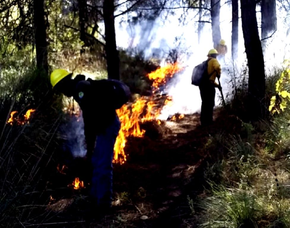 El Estado de México realiza trabajos preventivos contra incendios forestales