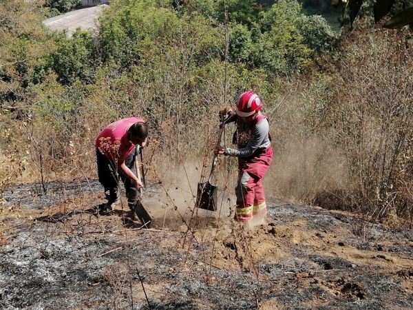 En Amecameca controlan Incendio en Zona Boscosa que amenazaba con Alcanzar Casas