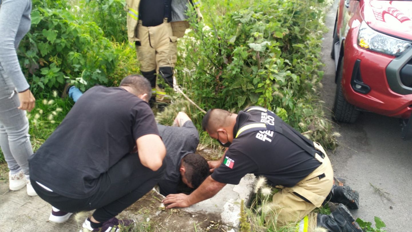 Rescatan a tres perritos abandonados en el pozo de una coladera pluvial en Texcoco 