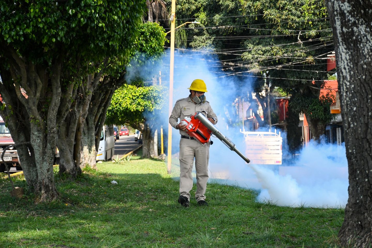Arranca campaña de eliminación de criaderos del mosco transmisor del dengue