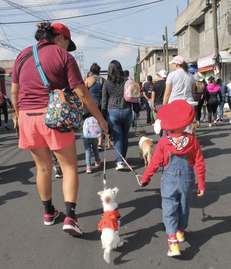 Habrá multas a personas en Chimalhuacán que tengan a sus mascotas en la calle, azoteas, amarradas y sin alimento