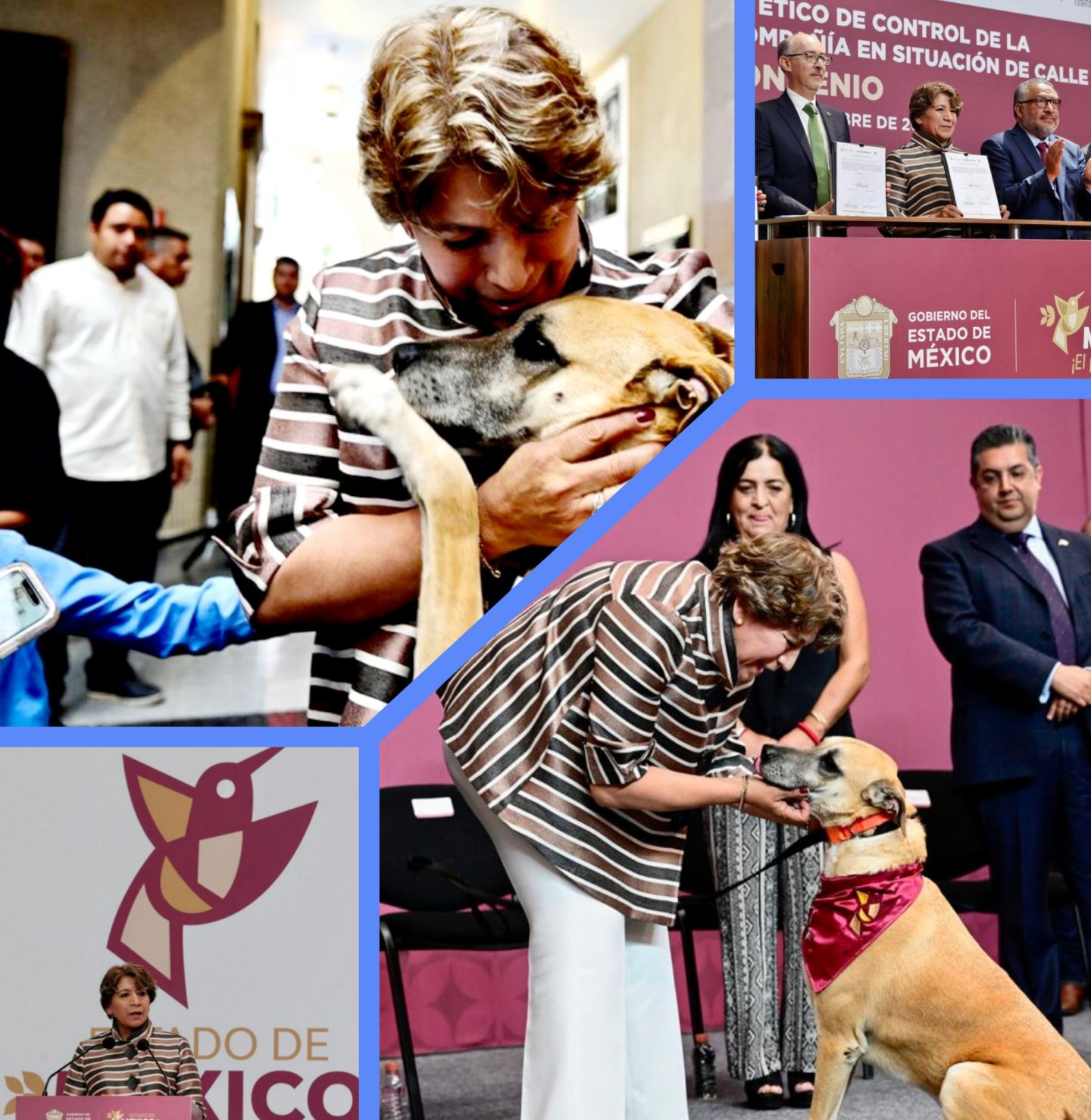 Delfina Gómez, Lanza programa de rescate de animales 