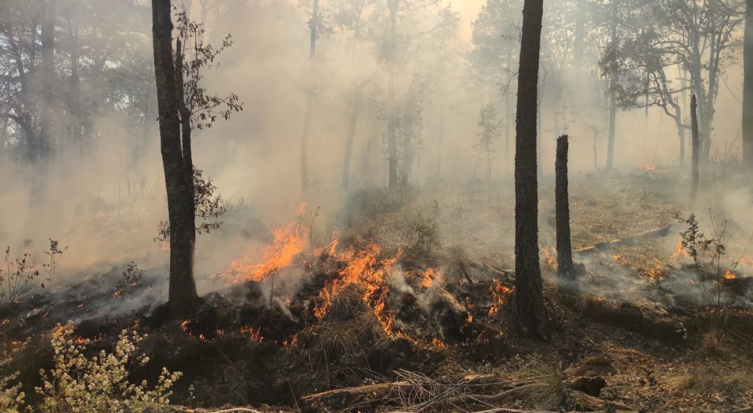 Se disparan los incendios forestales en Hidalgo