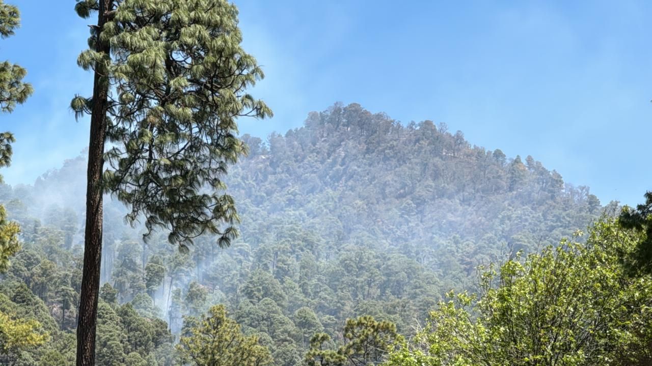 Brigadistas controlan incendio forestal registrado en Donato Guerra