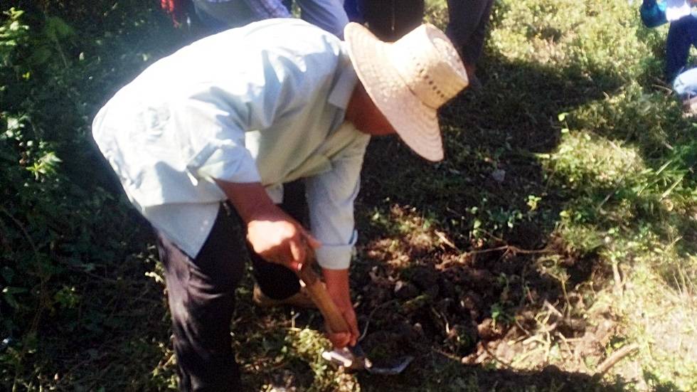 Encuentran restos óseos en cinco fosas en Iguala