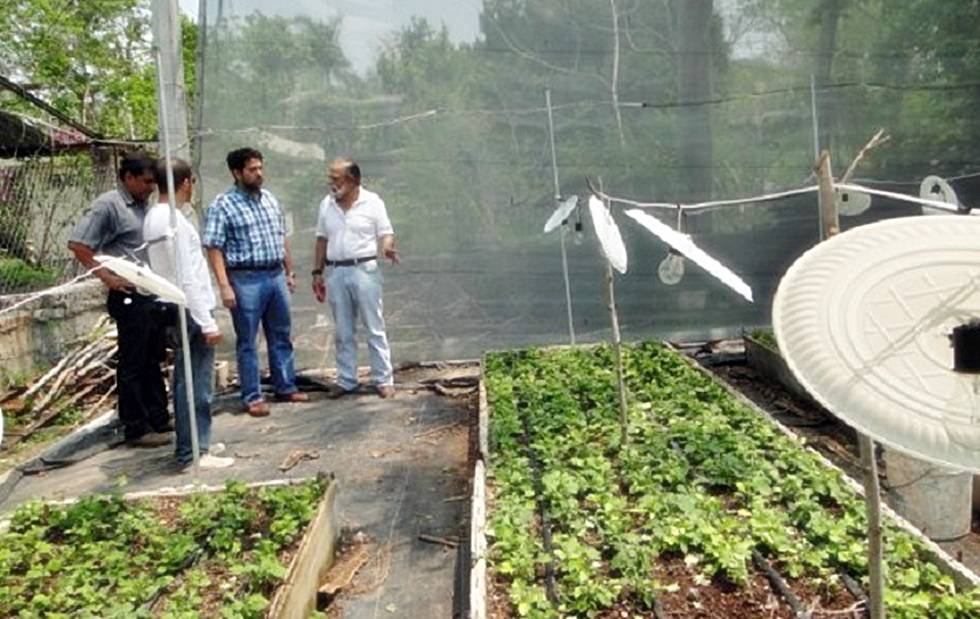 Trabaja Chapingo en 20 nuevas variedades vegetales adaptables al cambio climático