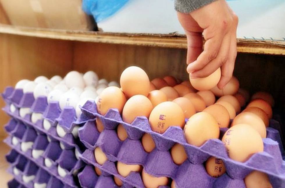 Inician investigación por monopolio en la comercialización del huevo