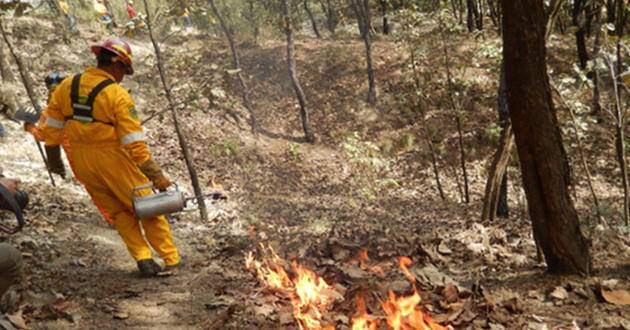 El Comité de Incendios Forestales de Jalisco listo con operativo de Semana Santa