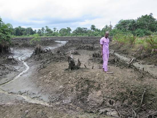 Shell deja el delta del Níger contaminado