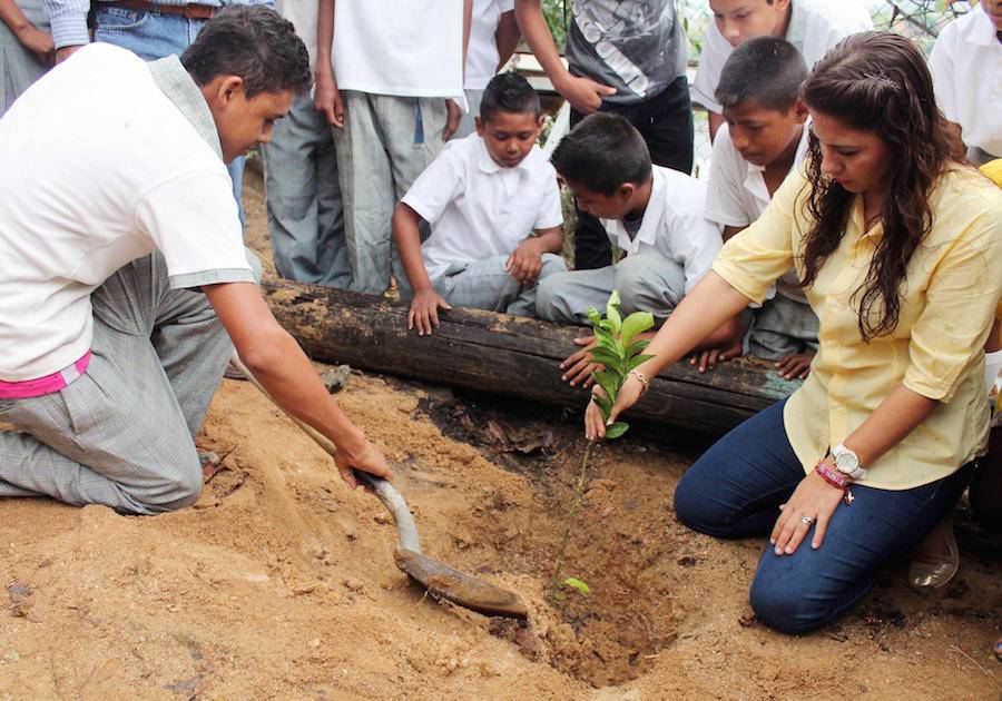 Encabeza DIF Acapulco campaña de reforestación en comunidades rurales