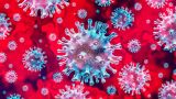 Coronavirus lo que viene