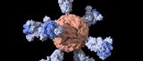 Nanoparticulas contra el coronavirus