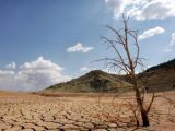 Nueva Amenaza Nos Acecha, Una Severa Sequía
