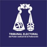Conflictos en el Tribunal Electoral Federal