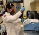 Investiga IPN actividad protectora del garbanzo contra cáncer de colon