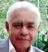 Ponen fin a la veda del aguacate