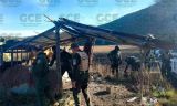 Policía detecta y derrumba en el Altiplano campamentos de narcos  