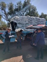 Productores de Chimalhuacán Reciben Fertilizantes gratuitos