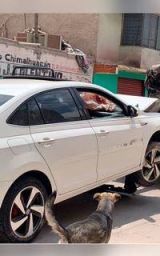 
Asesinan a un hombre tras persecución en calles inseguras de Chimalhuacán
