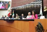 Dialogan en el Senado sobre derechos de víctimas de desaparición