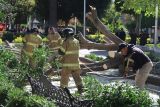 Bomberos de Texcoco Atienden Emergencia por Caída de Árbol en Jardín Municipal 
