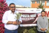 Gobierno de Ecatepec instala 4 centros de acopio para reciclar árboles navideños