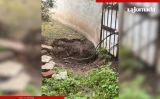 Acusan vecinos de Cuautitlán Izcalli a elementos de la CFE de dejar sin energía eléctrica a por lo menos 56 habitantes de una unidad    