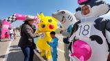Espectacular Carrera de Botargas Marca el Inicio del Segundo Día Del Festival del Taco y el Asado en Amecameca 
