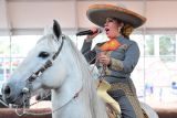 Feria del Caballo Texcoco 2026 genera derrama económica en el Oriente del EdoMéx: Gobernadora Delfina Gómez