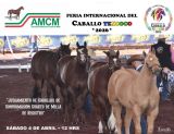 En la Feria de las Ferias Jusgamiento de Caballos de Conformación Cuarto de Milla de Registró sábado 4 de abril. 
"NO TE LO PUEDES PERDER"