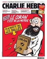 Manifestaciones en toda Francia en solidaridad con Charlie Hebdo