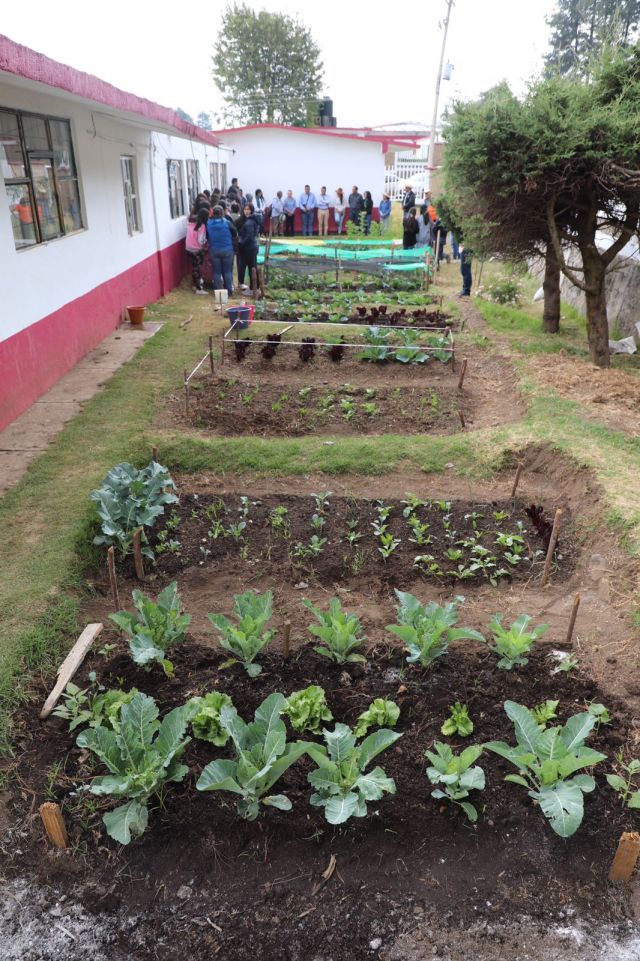Huertos escolares de Texcapilla tienen su primera cosecha