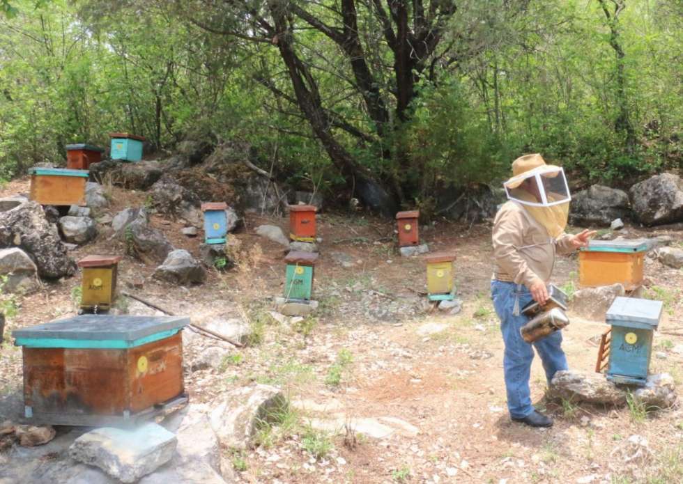 los apicultores han logrado generar otros productos derivados de la apicultura como la cosecha de jalea real, la crianza de abejas reina, polen, propóleo y otros productos de la i