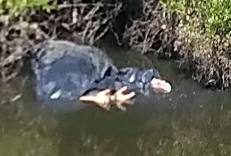 Localizan restos humanos en canal de aguas negras en Valle de Chalco.