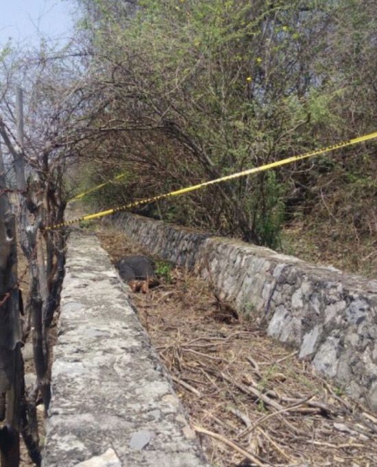 Hallan cadáver putrefacto de una mujer en Cocula