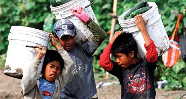 139 mil niños de Guerrero trabajan ’la gente no lo ve mal’, asegura titular del trabajo