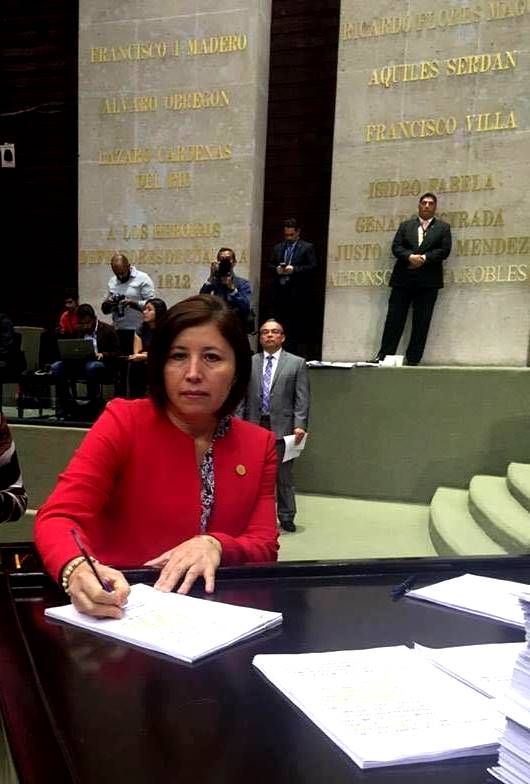 Leyes anticorrupción permitirán a ciudadanos vigilar comportamiento de políticos y representantes: Vélez