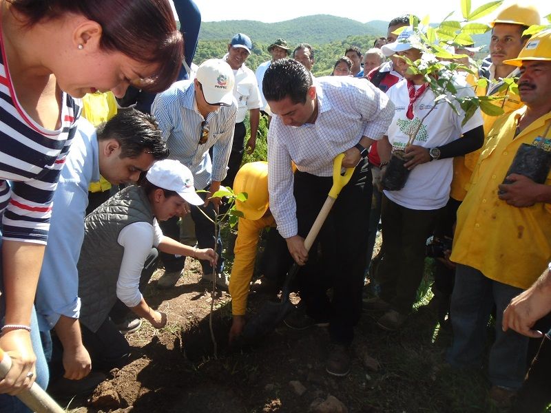 El gobierno de Taxco dio arranque a la campaña de reforestación 2016 en la zona norte